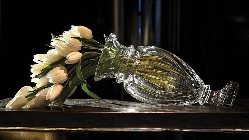 a turtle on a table aboard SEALION Yacht for Sale