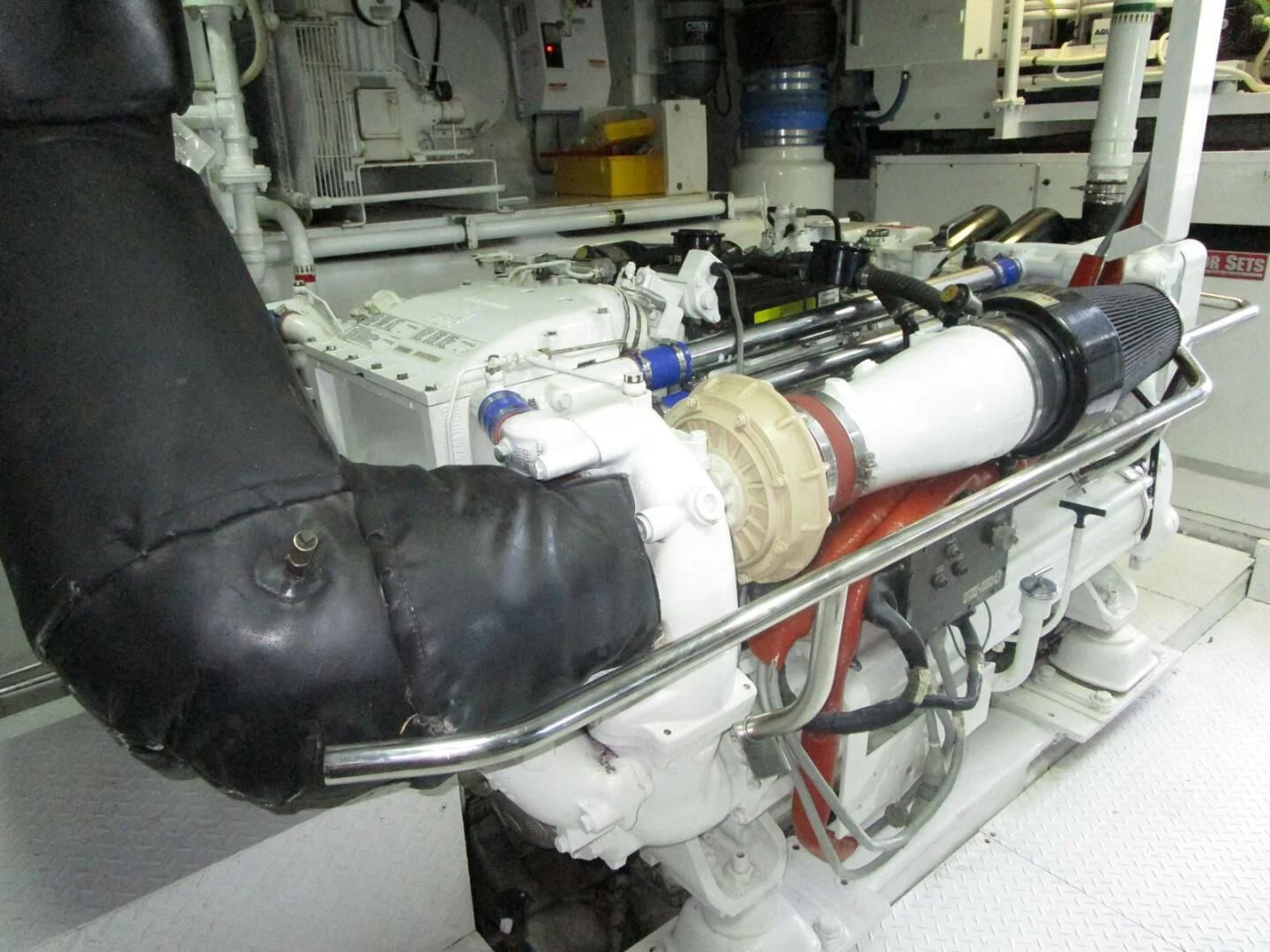 a dog getting a bath aboard CARPE DIEM Yacht for Charter