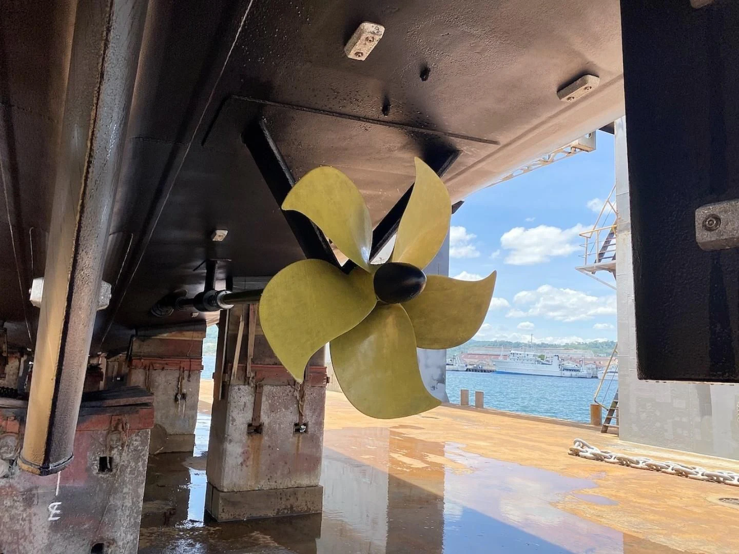 a flower on a window aboard ALAIA Yacht for Sale