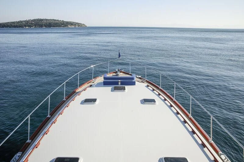 a large ship in the water aboard ALECTO Yacht for Sale
