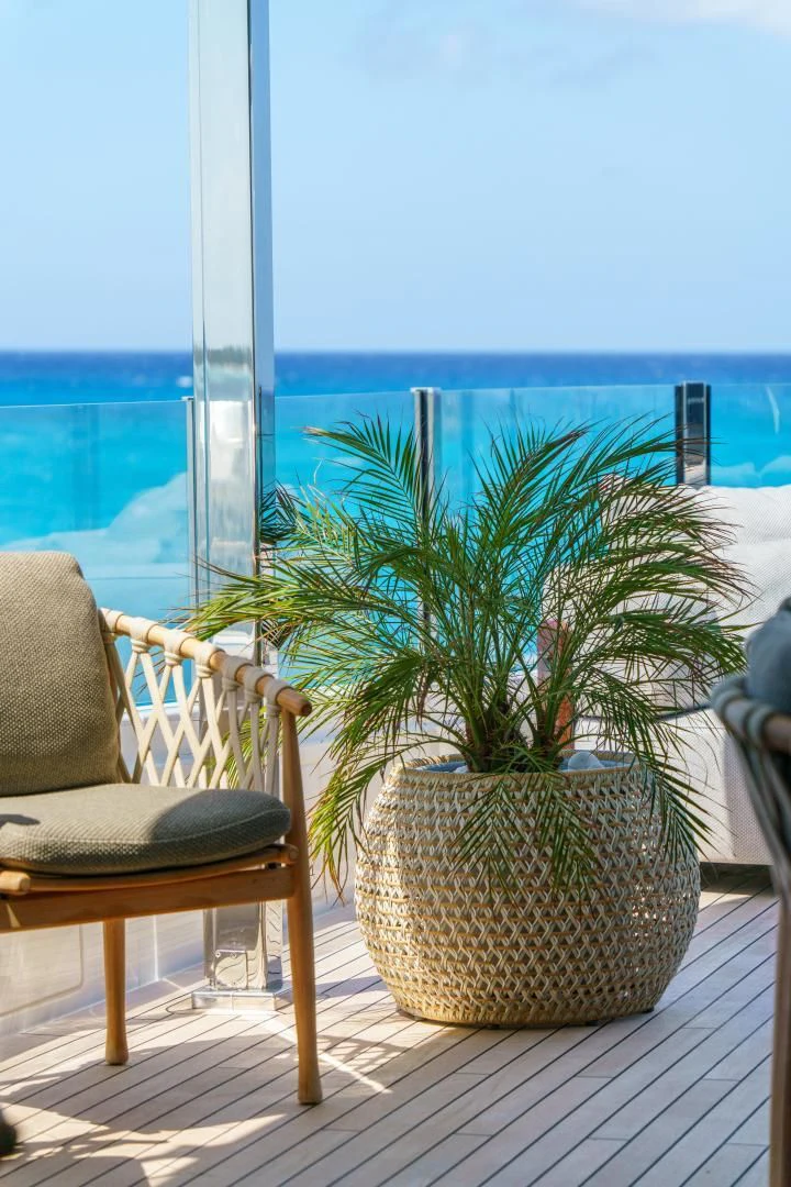 a potted plant on a deck aboard ASANTE Yacht for Sale
