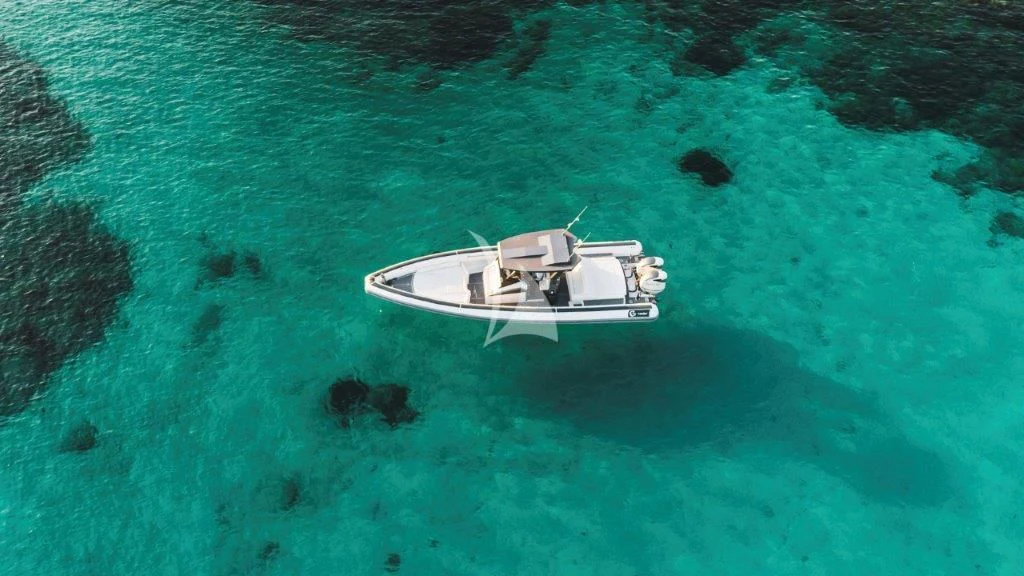 a dog swimming in a lake aboard TIBERIAS Yacht for Sale