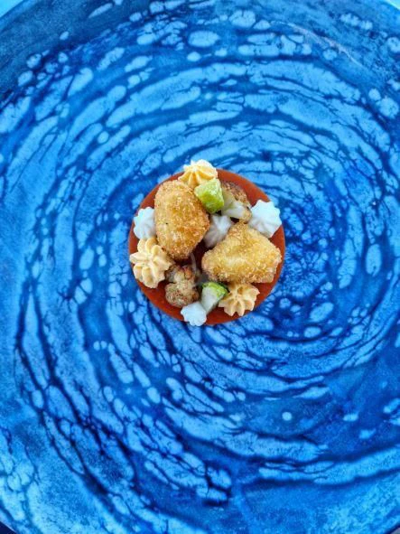 a small shell on a blue cloth aboard CORSARIO Yacht for Charter