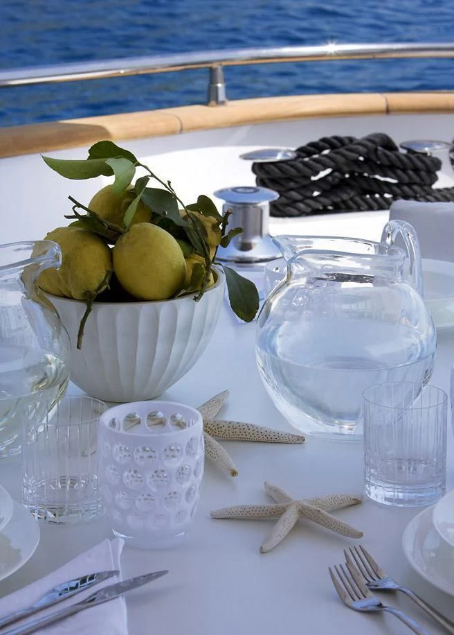 a table with glasses and a plant aboard NIKCA Yacht for Sale