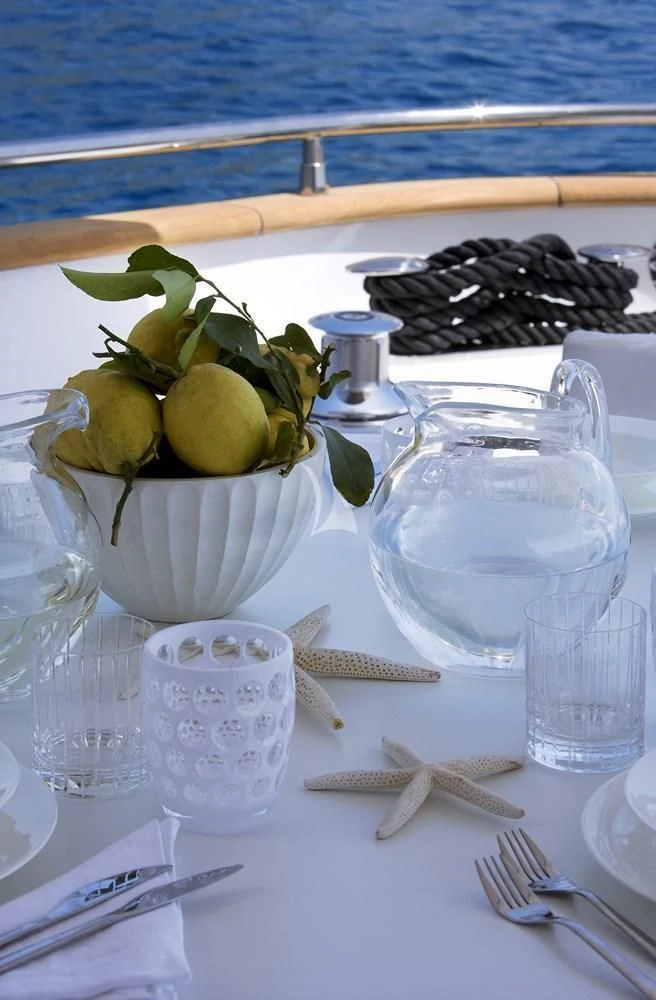 a table with glasses and a plant aboard NIKCA Yacht for Sale