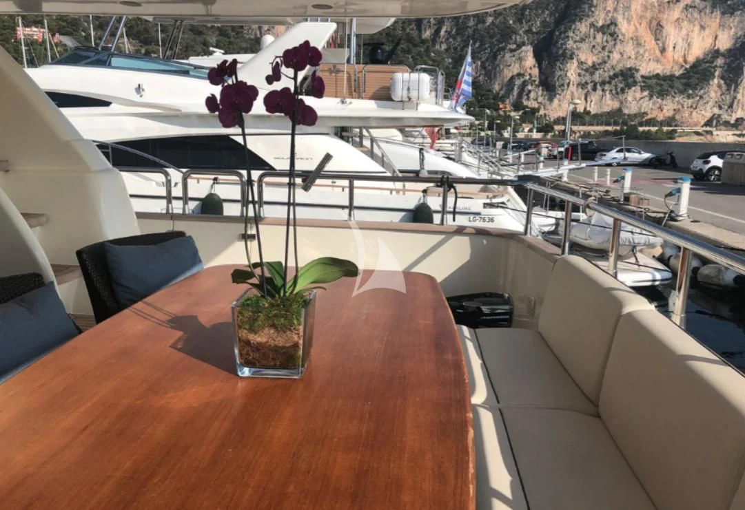 a potted plant on a table aboard OCEAN DELTA 11 Yacht for Sale