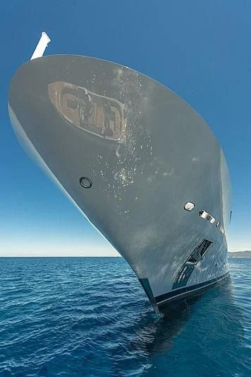 a large whale in the water aboard TALEYA Yacht for Sale