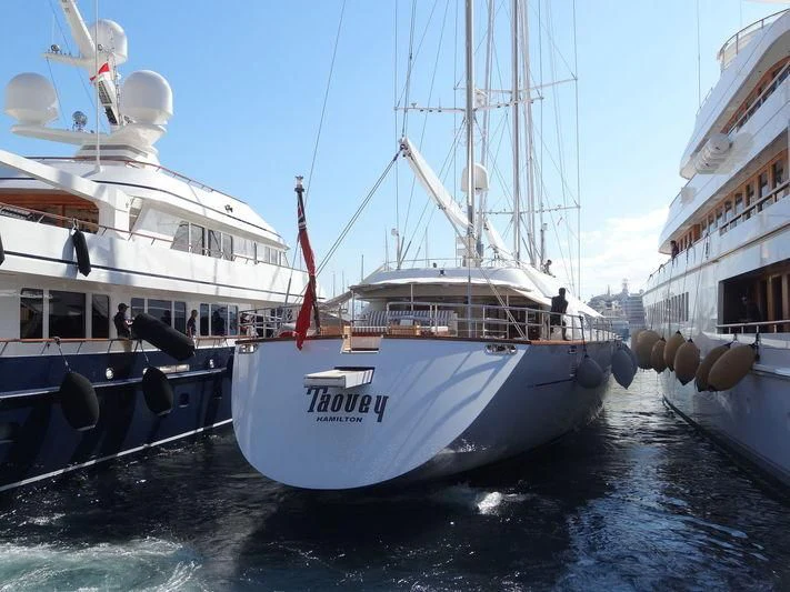 a group of boats in the water aboard TAOUEY Yacht for Sale