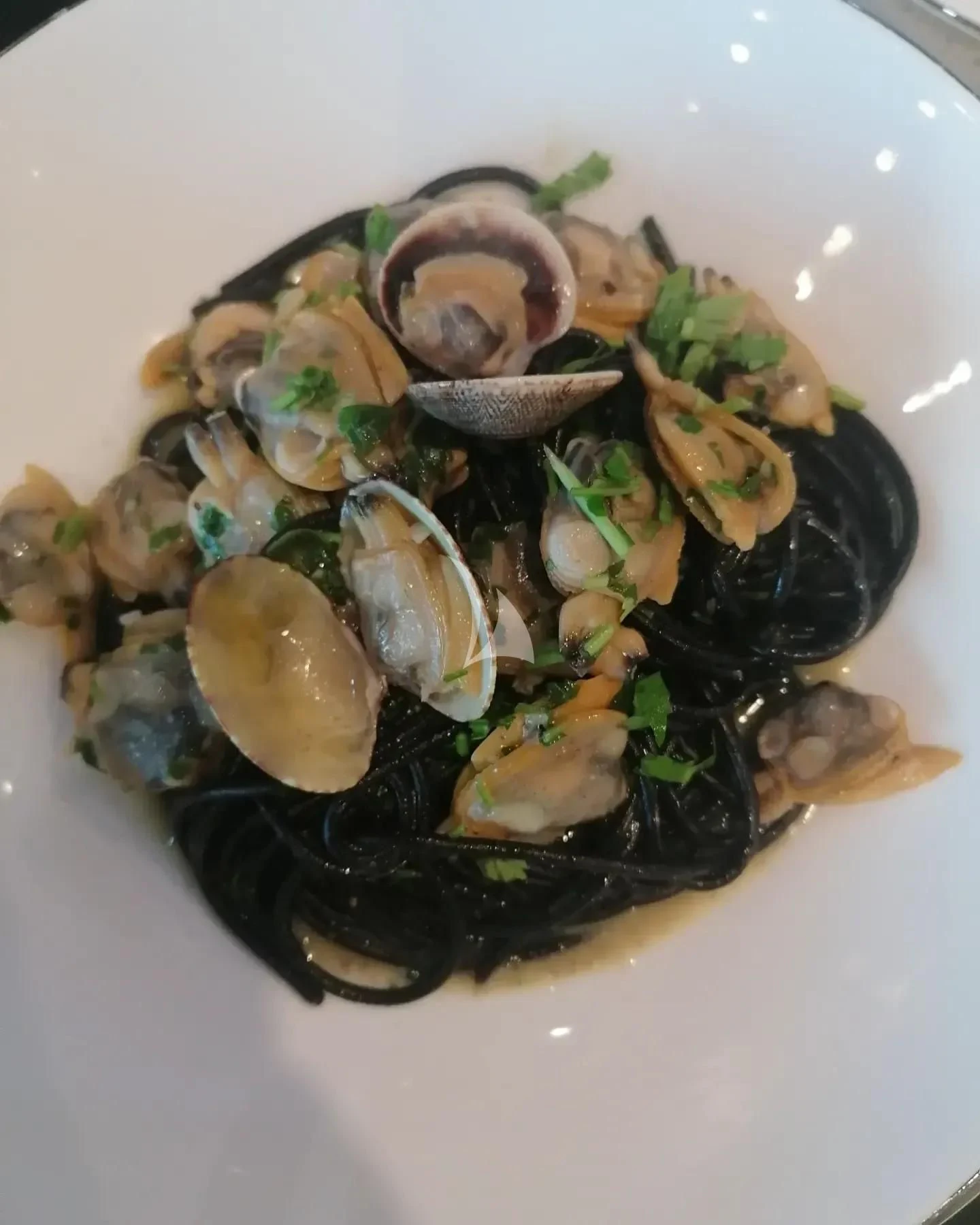 a bowl of mussels aboard MR. T Yacht for Charter