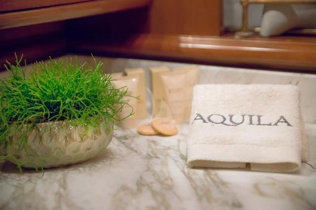 a plant in a pot aboard AQUILA Yacht for Sale