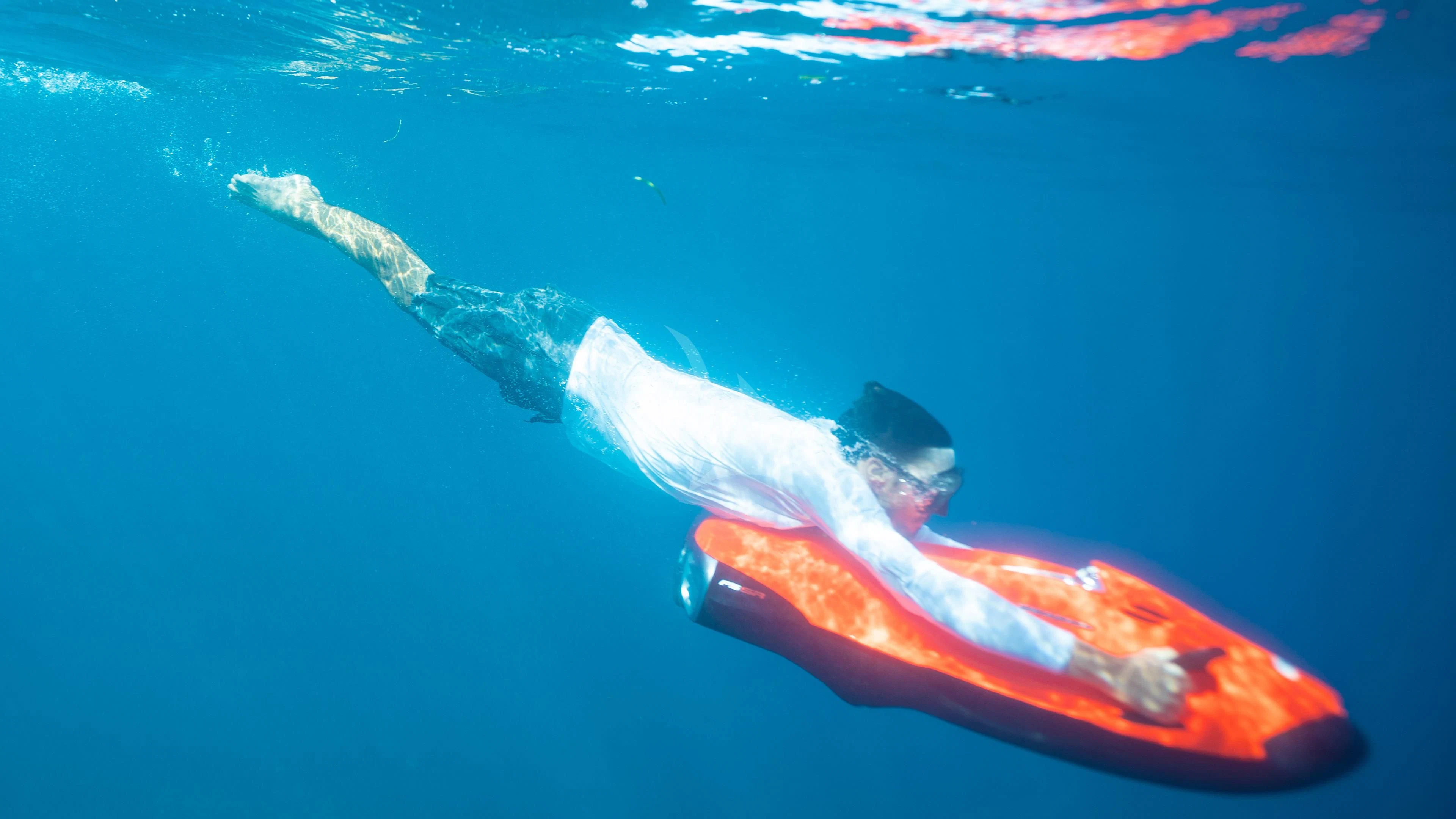 a person swimming with a whale aboard ATHOS Yacht for Sale