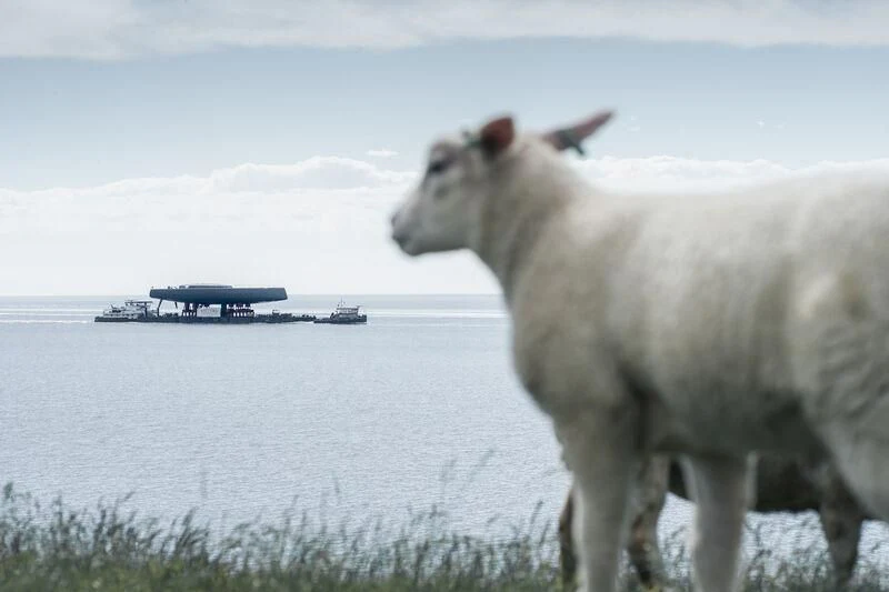 a white goat standing in front of a large body of water aboard ALEA Yacht for Sale