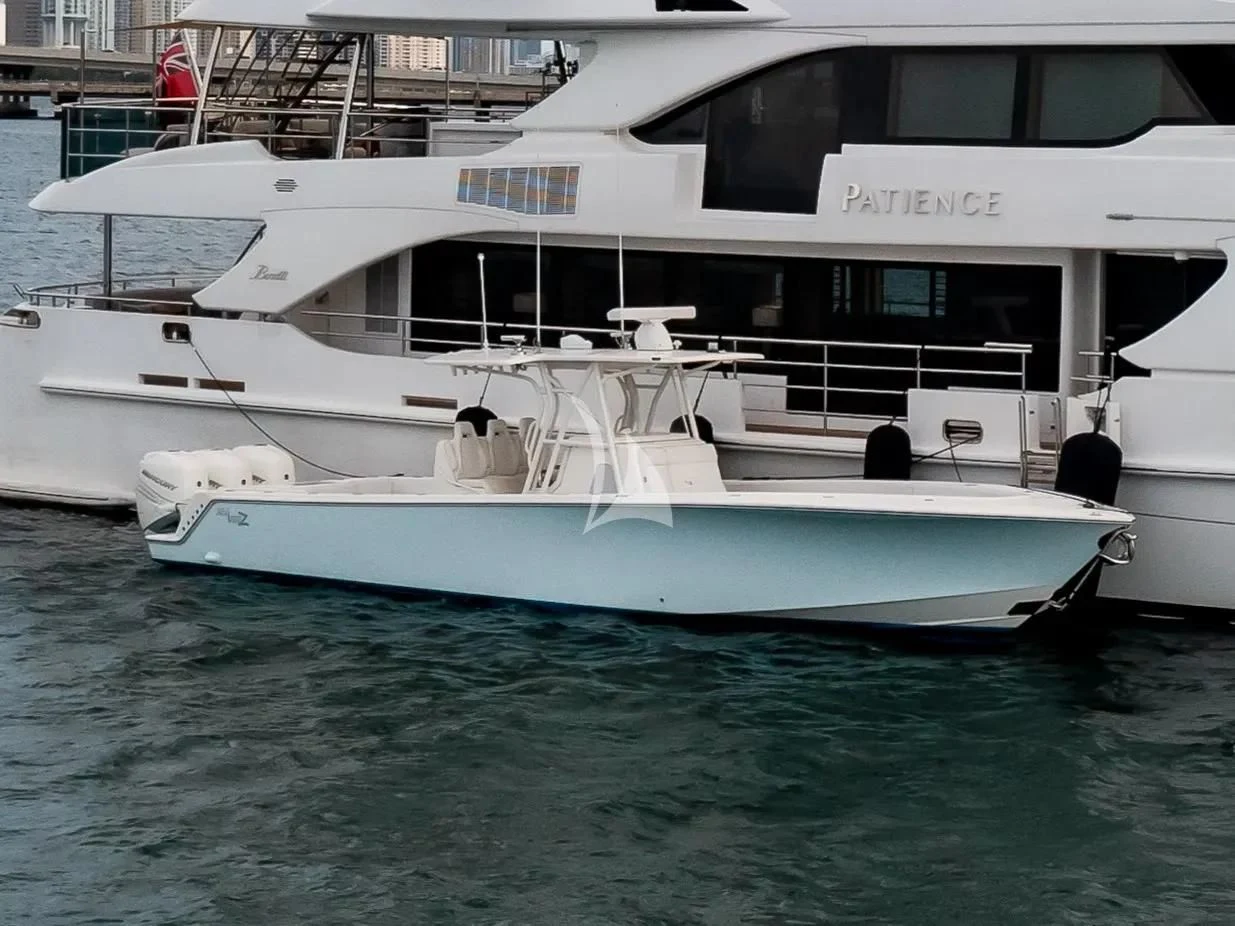 a white yacht in the water aboard PATIENCE Yacht for Charter