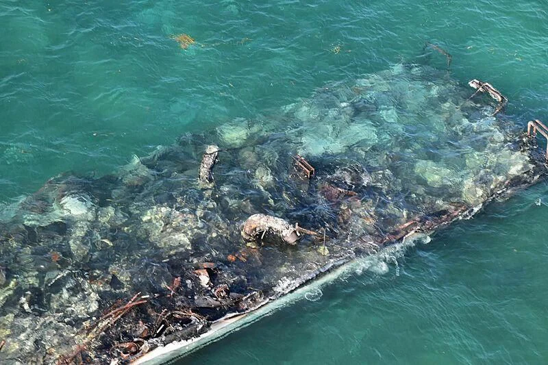 a group of seals on a rocky beach aboard LA DOLCE VITA Yacht for Sale