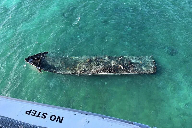 a whale swimming in the water aboard LA DOLCE VITA Yacht for Sale