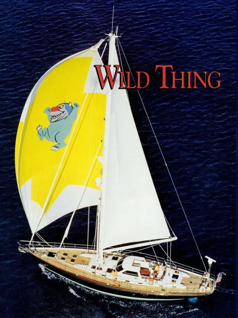 a sailboat on the water aboard WILD THING Yacht for Sale