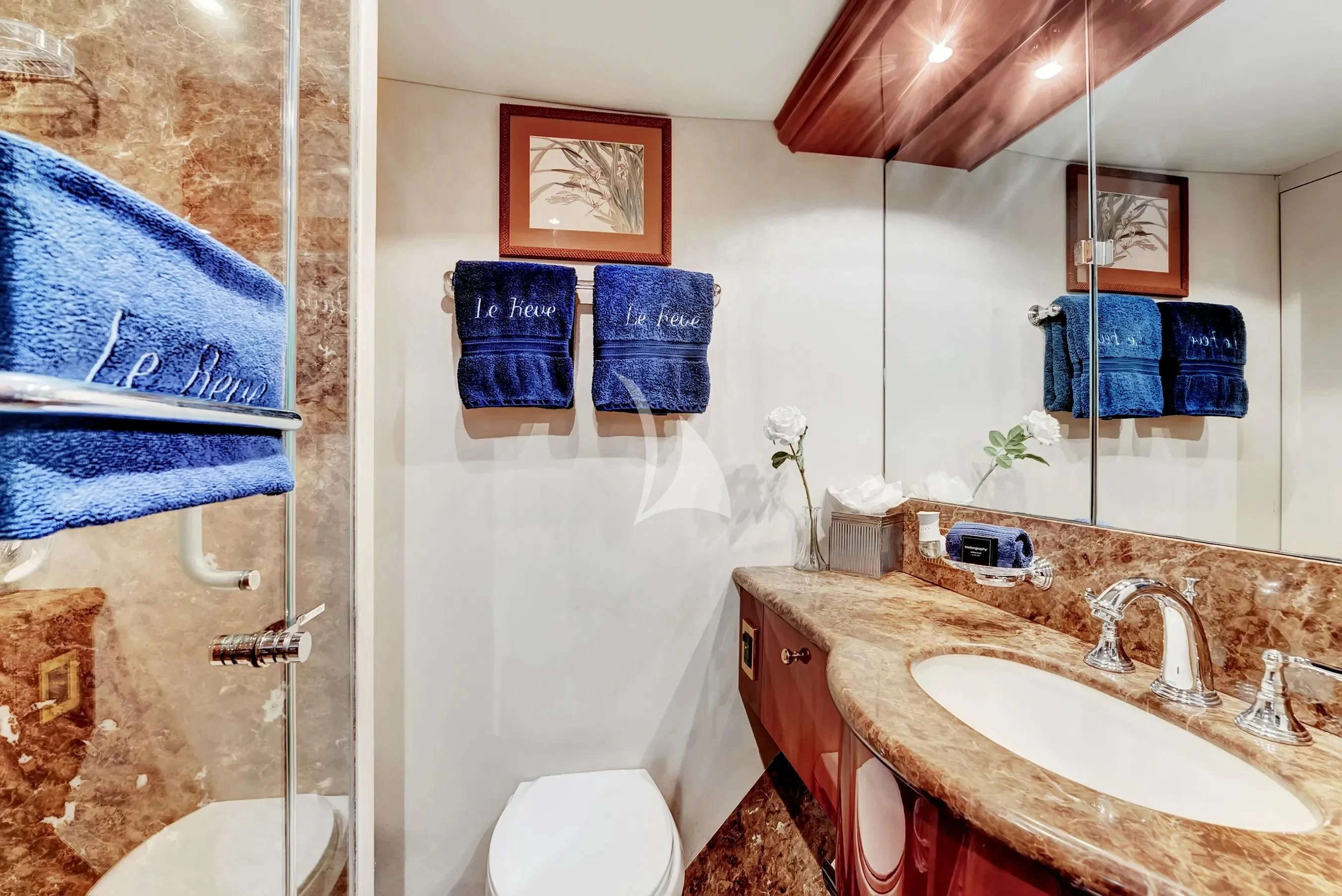 a bathroom with a sink and a toilet aboard LE REVE Yacht for Sale