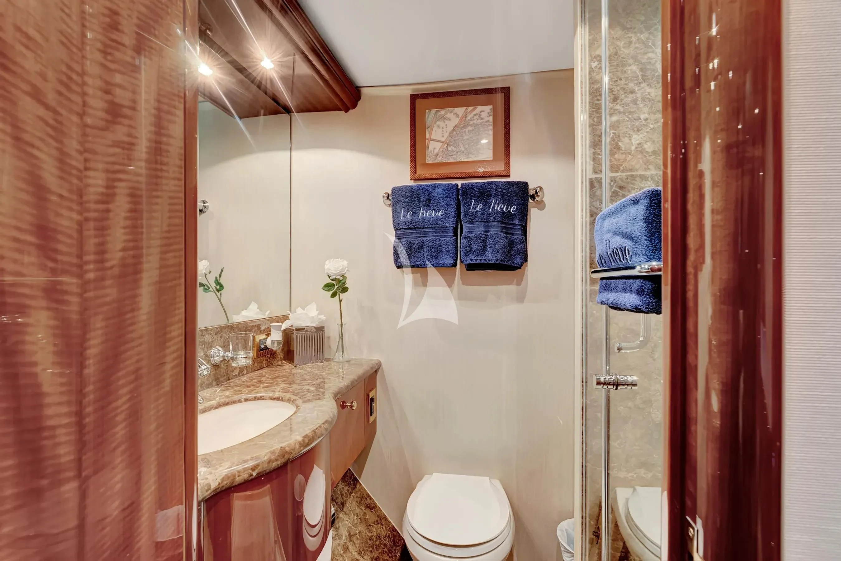 a bathroom with a sink and toilet aboard LE REVE Yacht for Sale