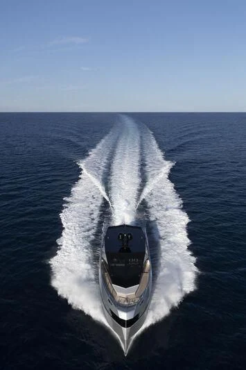 a large whale jumping out of the water aboard TELL ME WHY Yacht for Sale