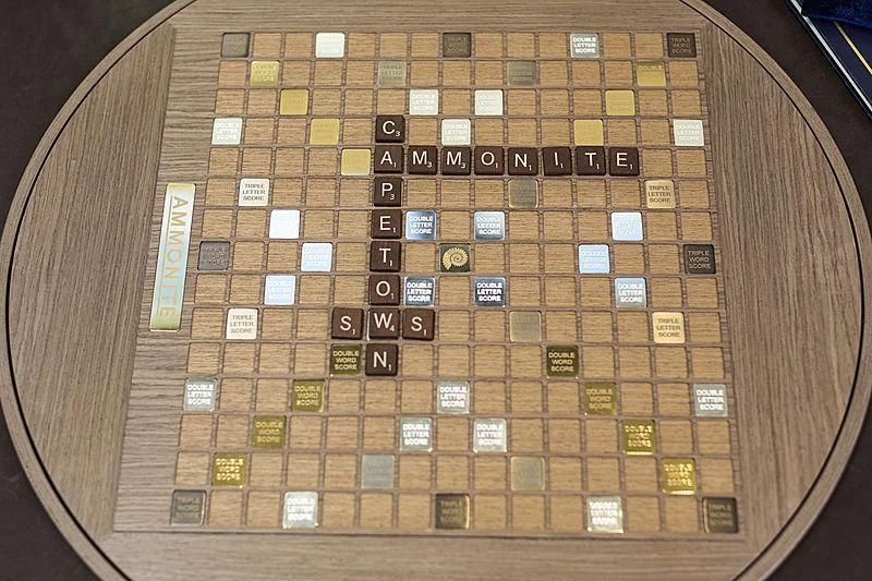 a board game with a board game aboard AMMONITE Yacht for Charter