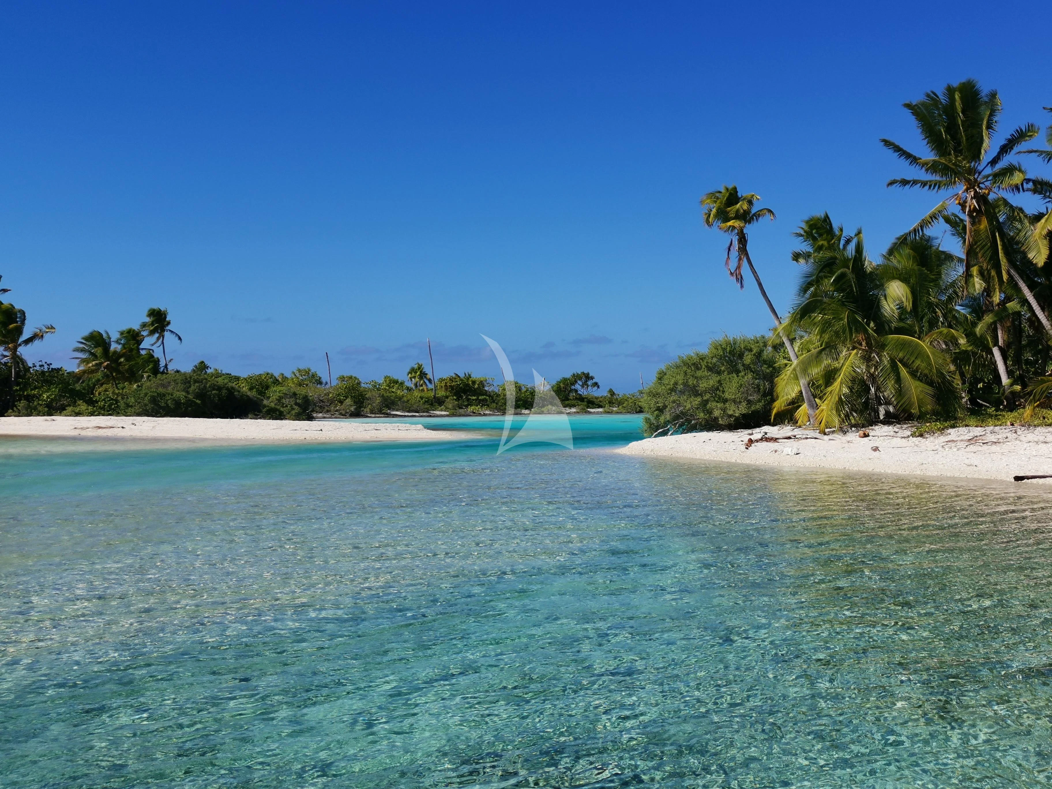 a tropical beach with palm trees aboard DOUCE FRANCE Yacht for Sale