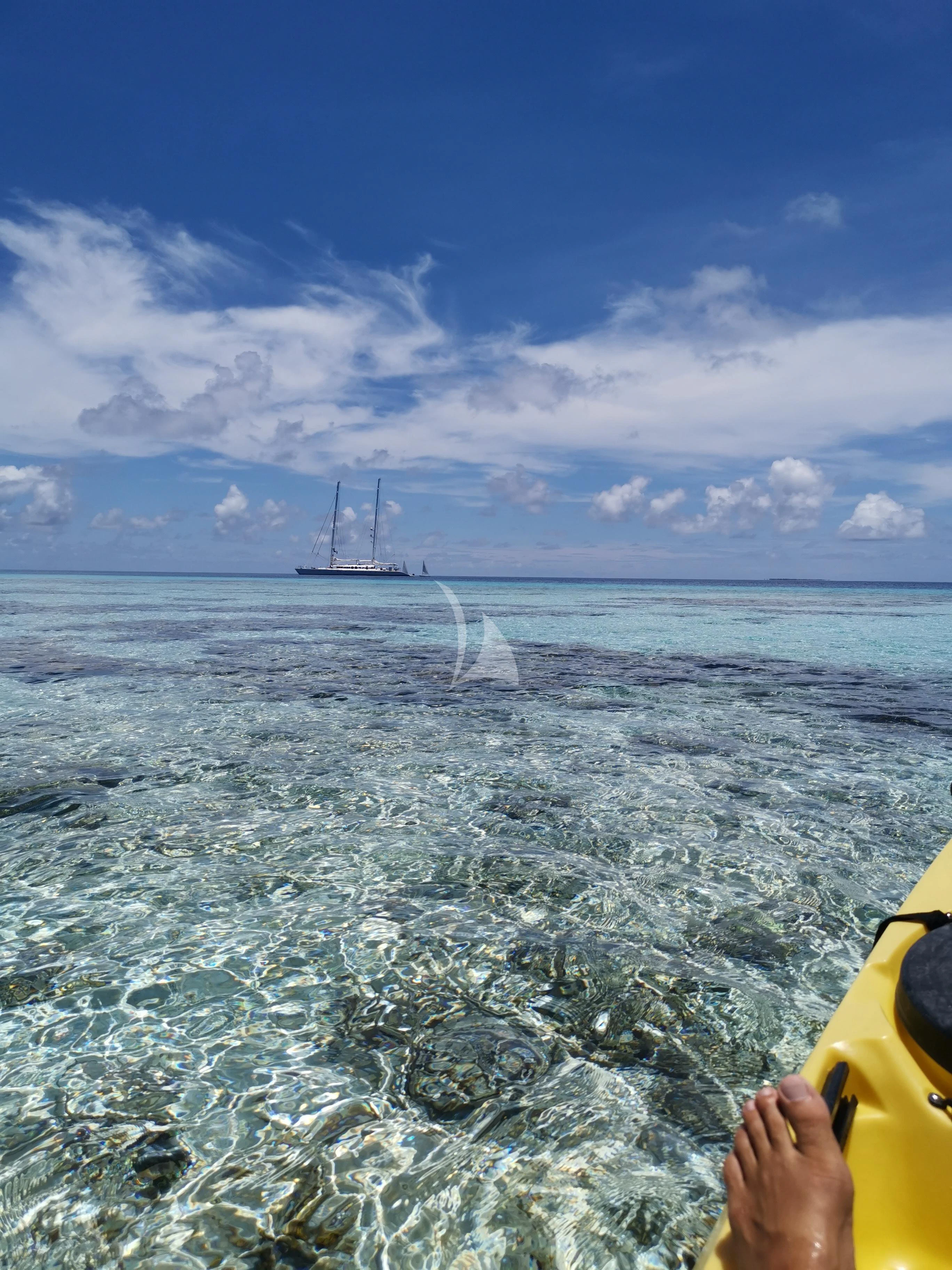 a person's hand on a beach with water and a boat in the background aboard DOUCE FRANCE Yacht for Sale