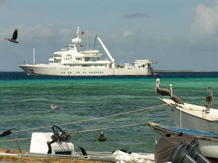a group of birds on a boat aboard SENSES Yacht for Sale