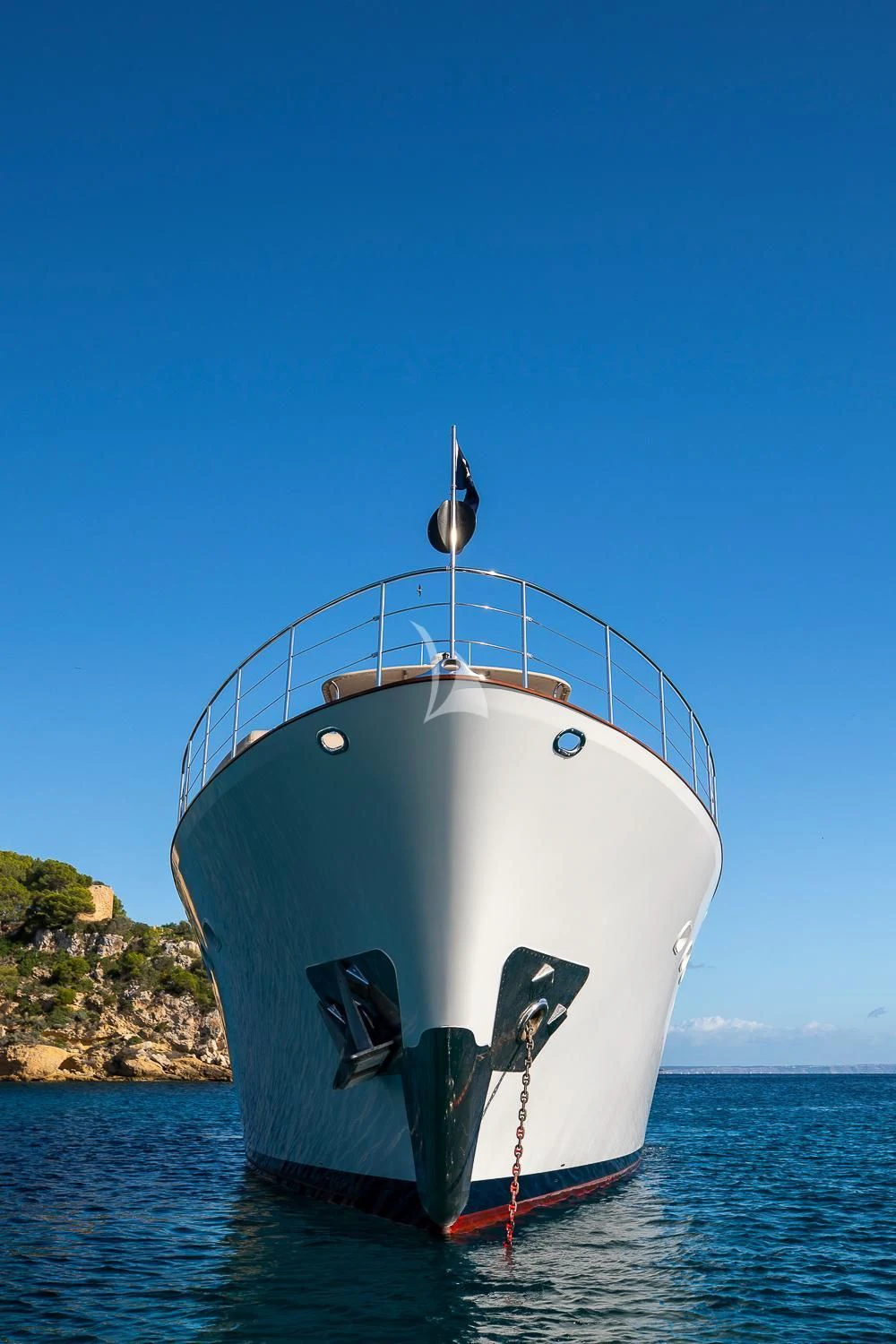 a whale tail fin in the water aboard ODYSSEY III Yacht for Sale