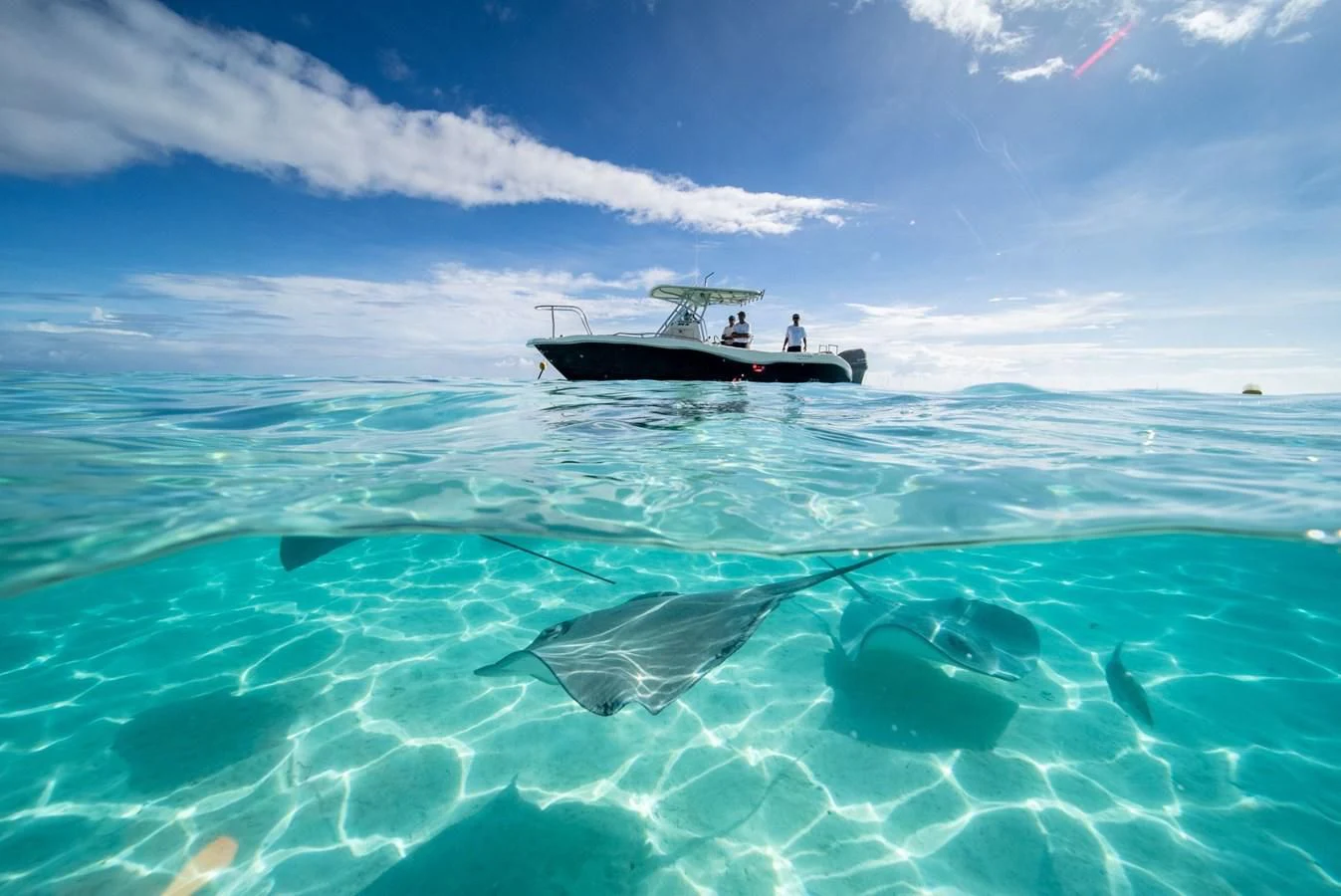 a boat in the ocean aboard LATITUDE Yacht for Sale