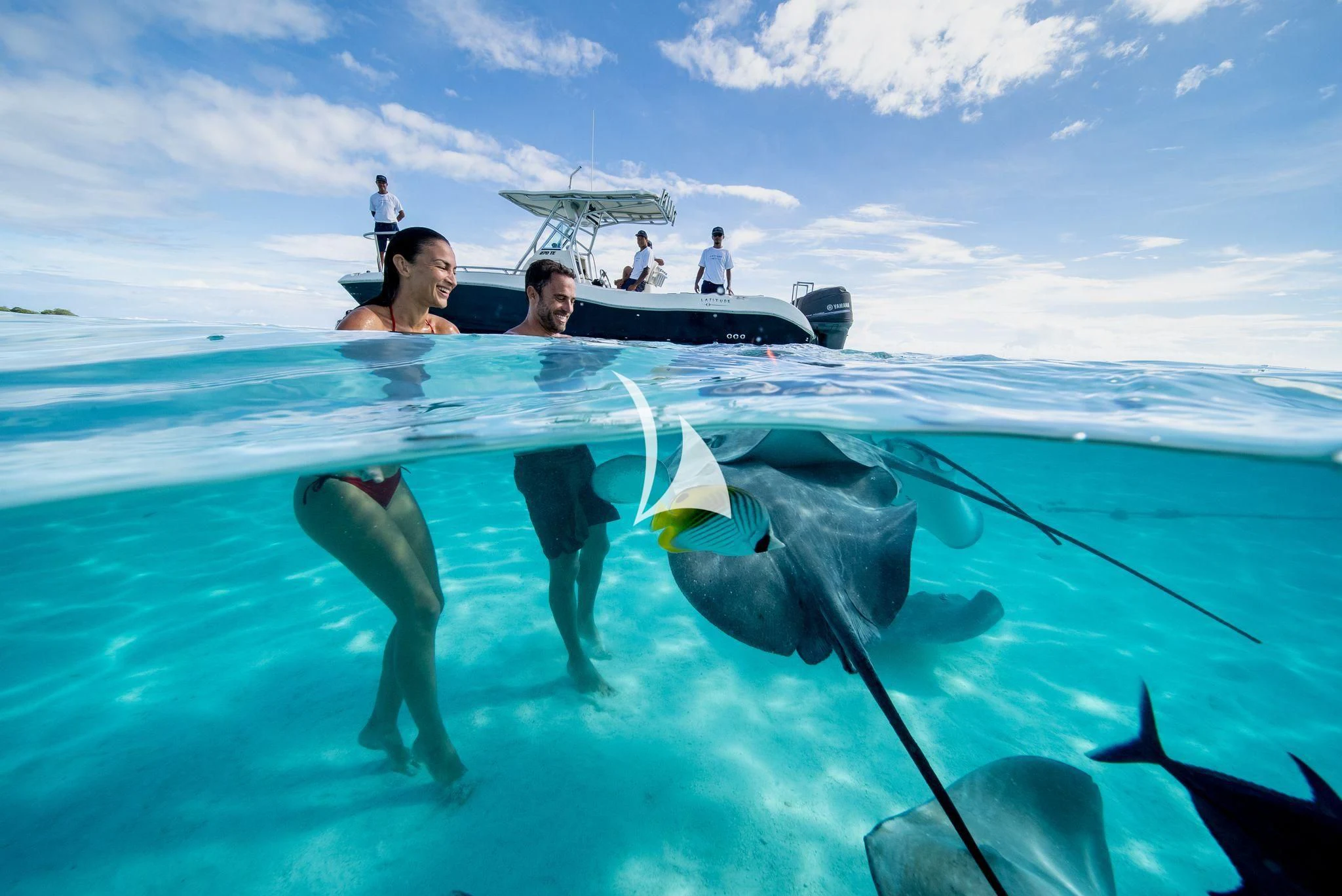 a group of people in a pool with a shark and boats aboard LATITUDE Yacht for Sale