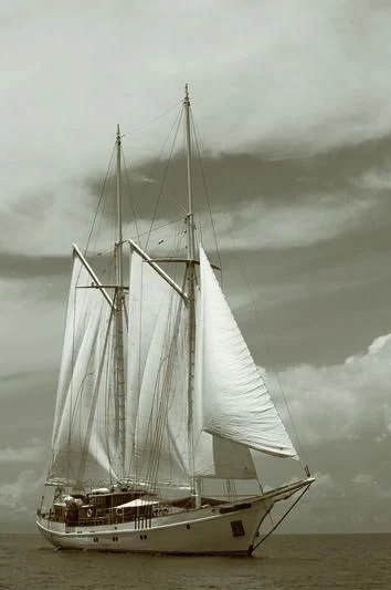 a large sailboat in the water aboard MUTIARA LAUT Yacht for Sale