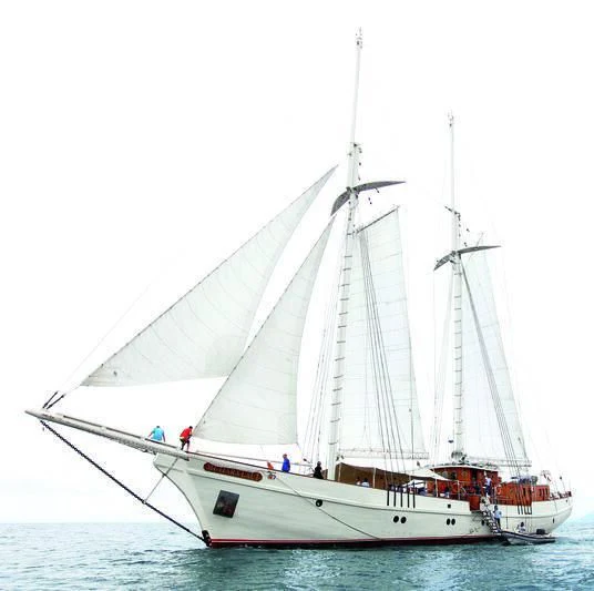 a white boat with sails aboard MUTIARA LAUT Yacht for Sale