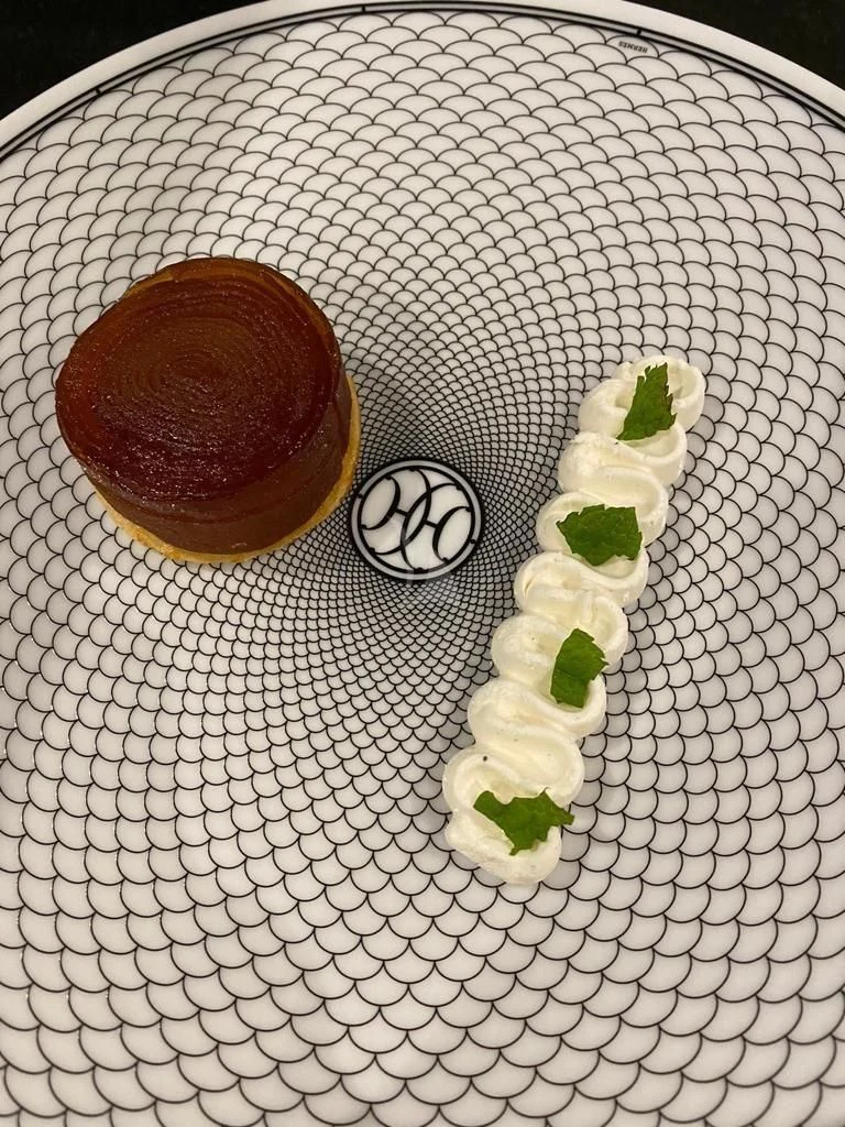 a small plant in a pot aboard LEL Yacht for Sale