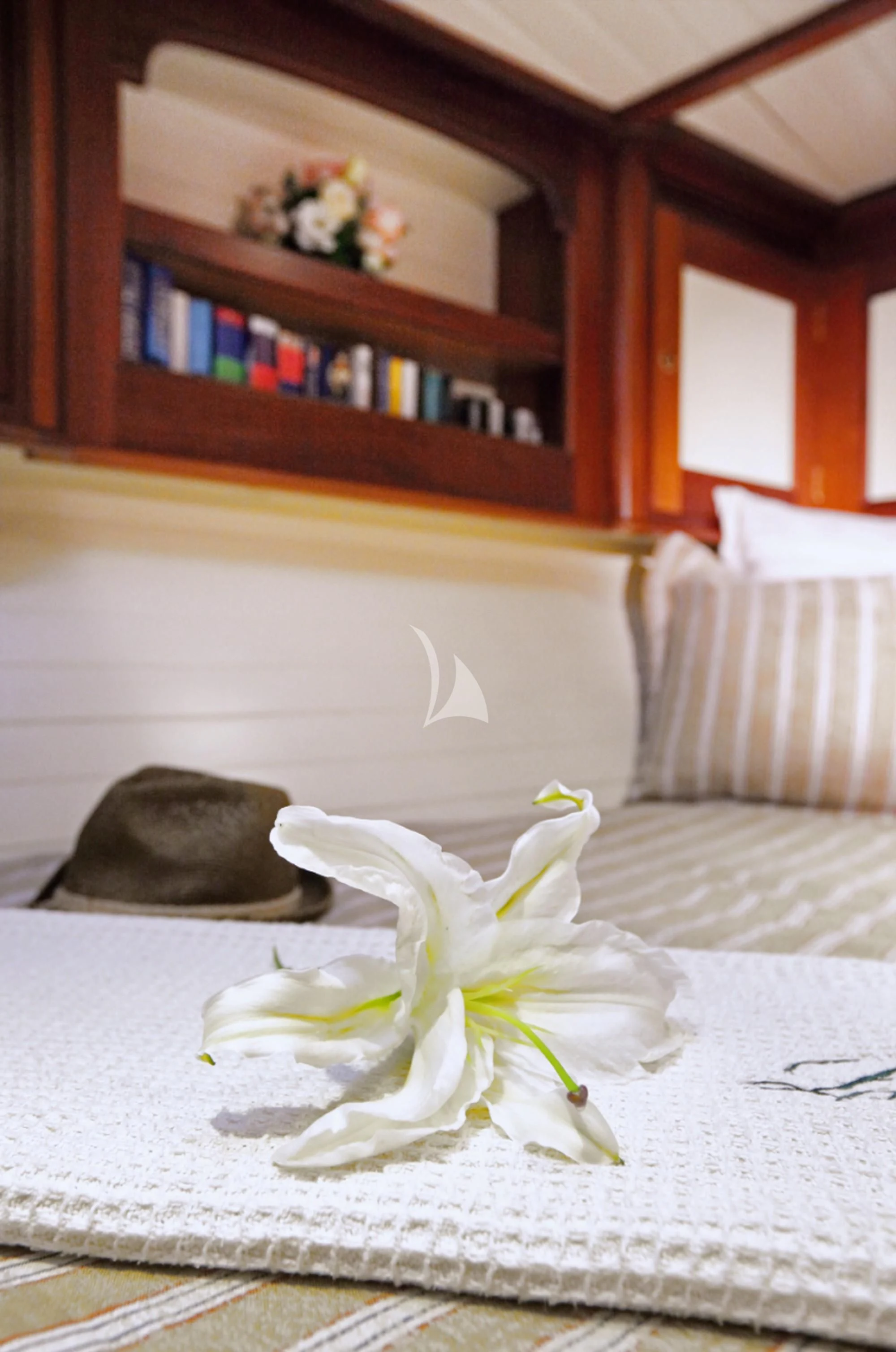 a white flower on a table aboard SHAMOUN Yacht for Sale