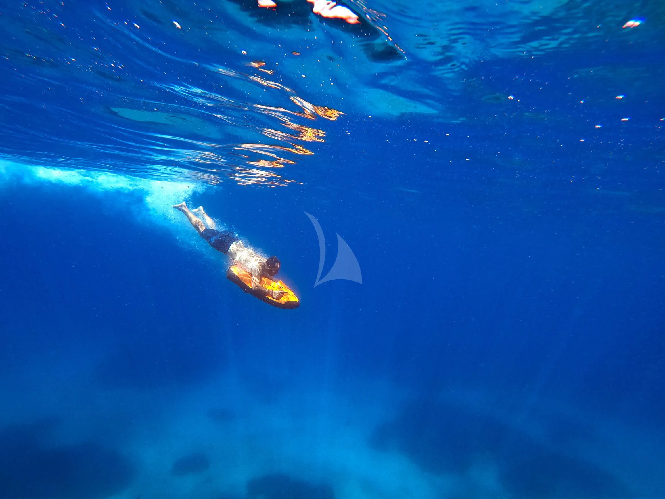 a group of fish swimming in water aboard TAMARITA Yacht for Sale