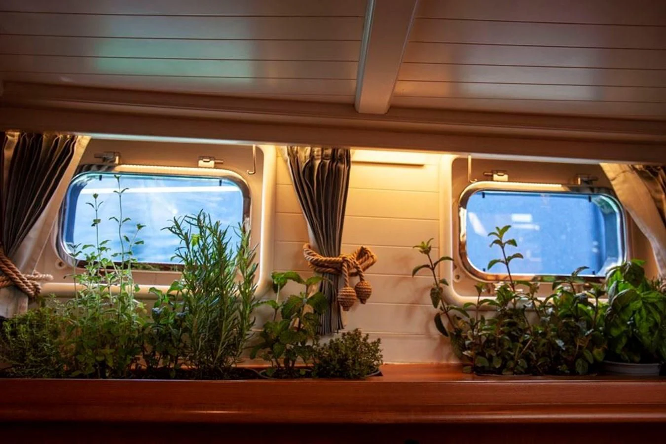 a window with plants and plants aboard SWEET EMOTION Yacht for Sale