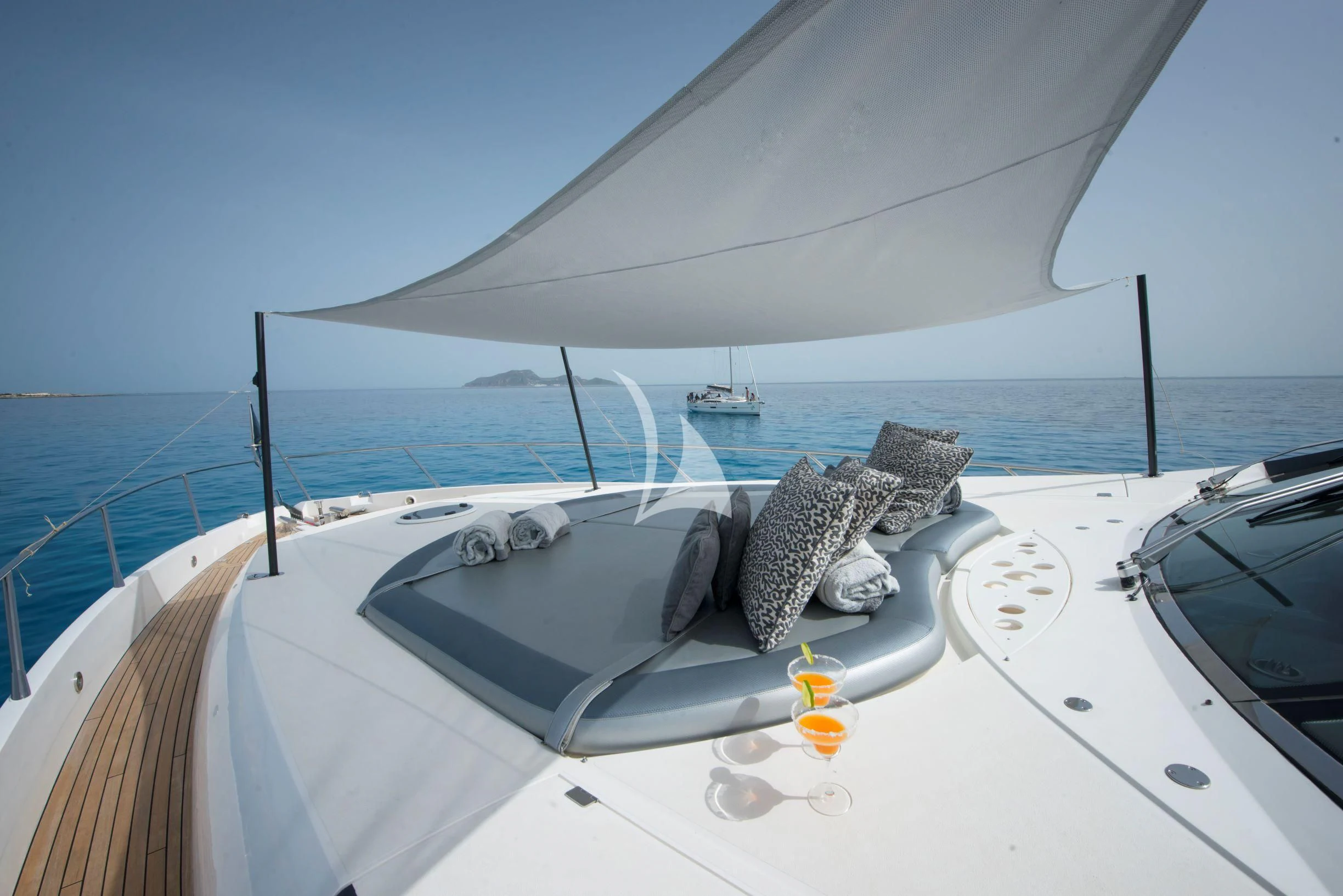 a couple of sea turtles on a boat aboard LIGHT BLUE Yacht for Sale