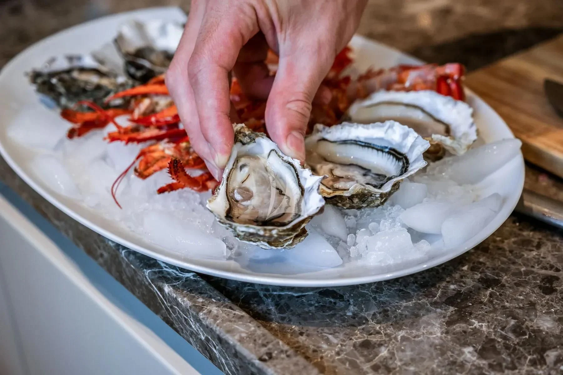 a person holding a plate of oysters aboard AKIRA Yacht for Sale
