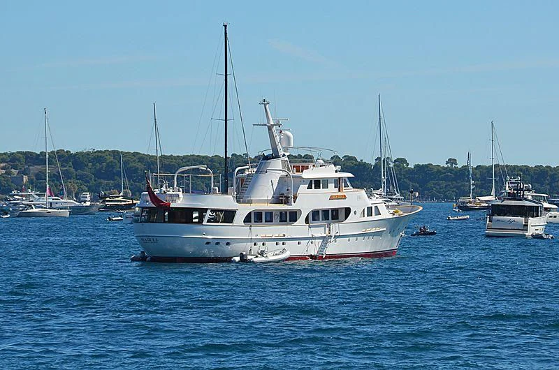 a group of boats in the water aboard SEAGULL OF CAYMAN Yacht for Sale