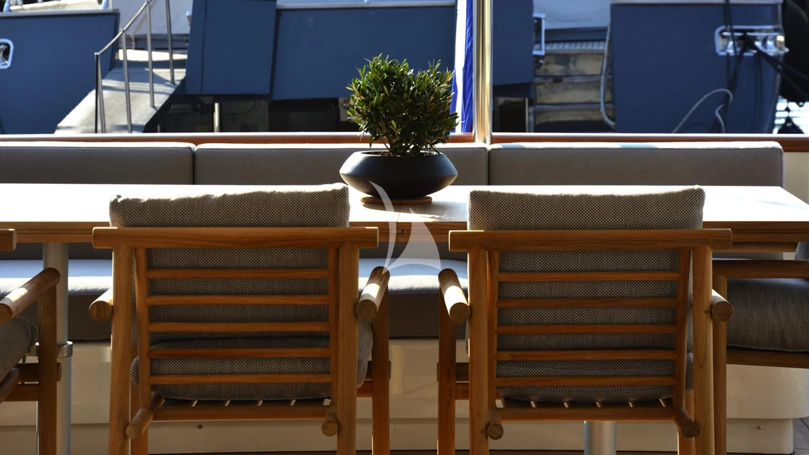 a potted plant on a table aboard XIPHIAS Yacht for Charter