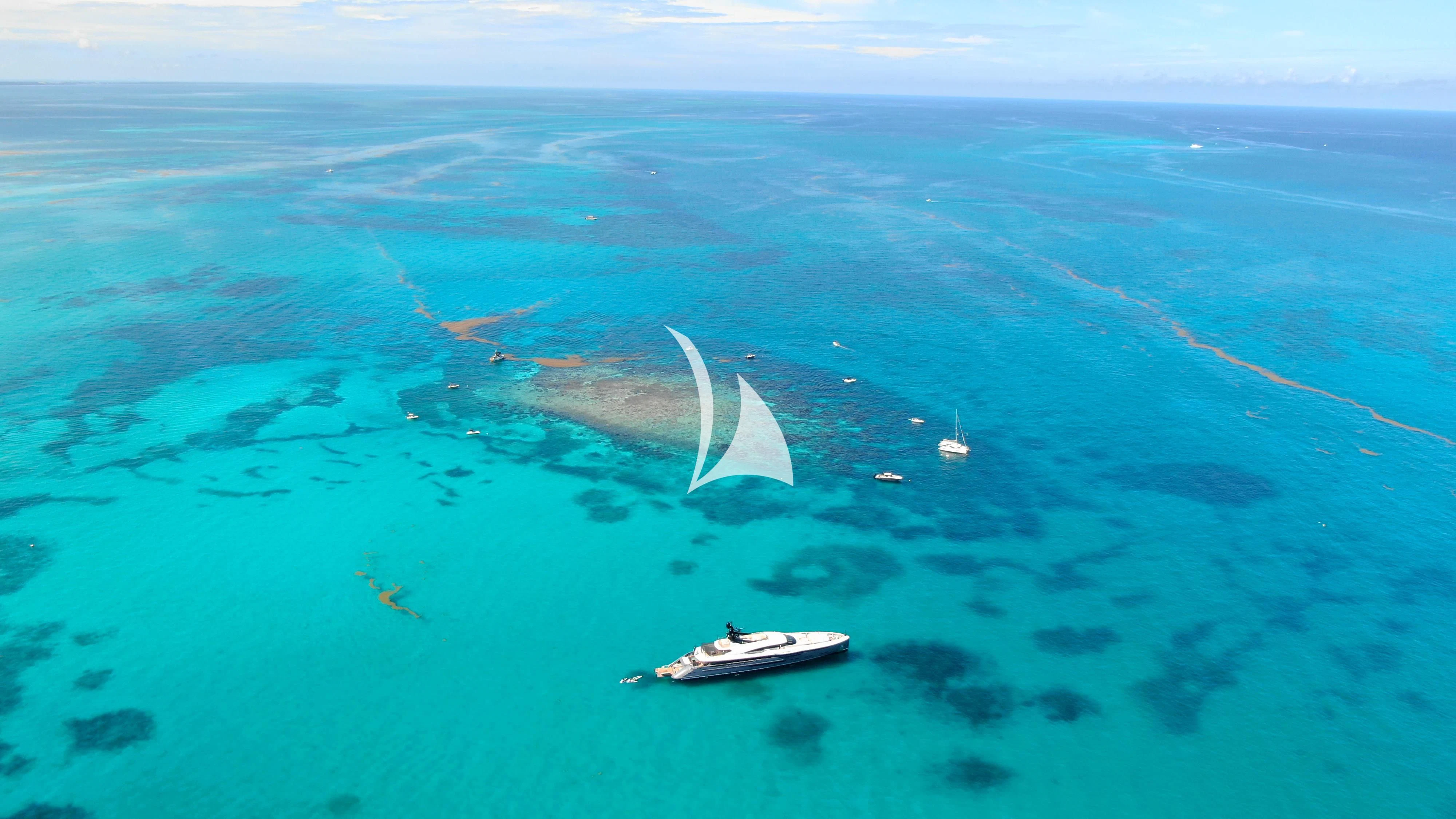 a group of whales swimming in the ocean aboard UTOPIA IV Yacht for Sale