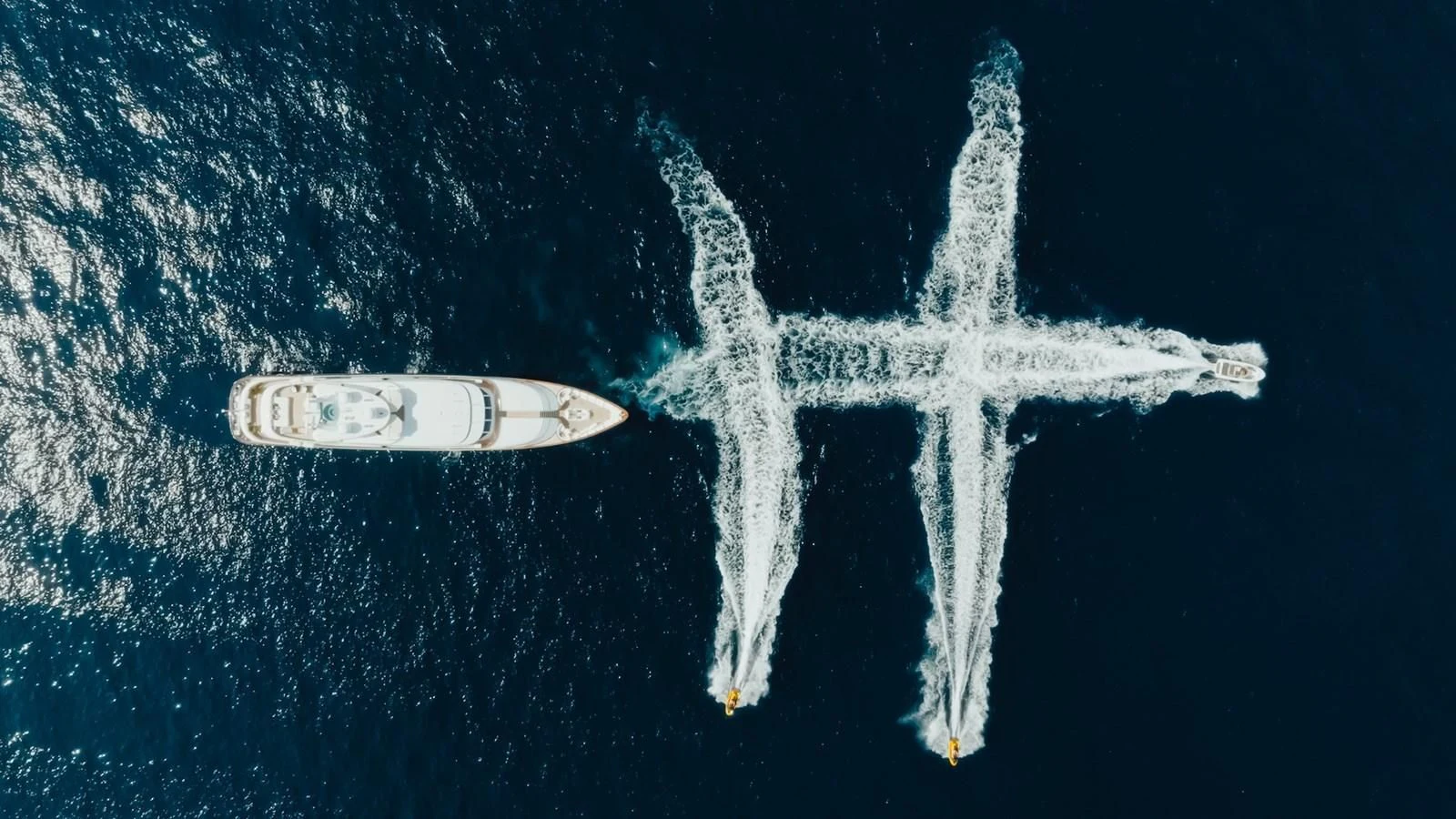 a white whale with a long tail aboard HERCULES Yacht for Sale