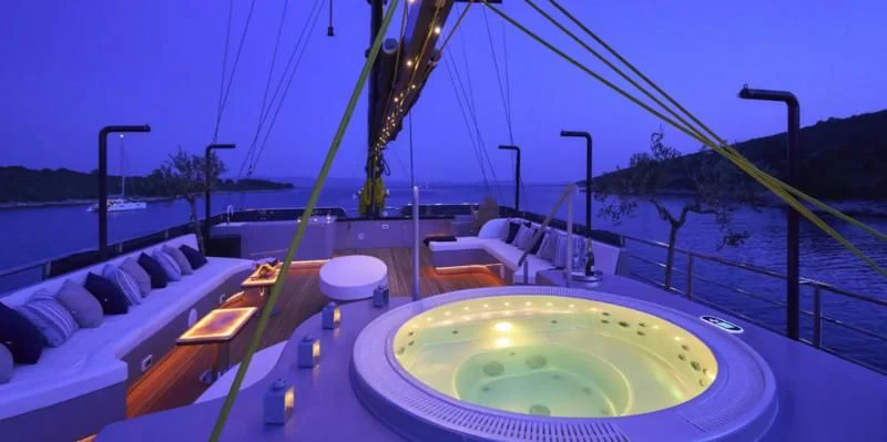 a swimming pool with a large glass wall and a large green planter aboard RARA AVIS Yacht for Charter