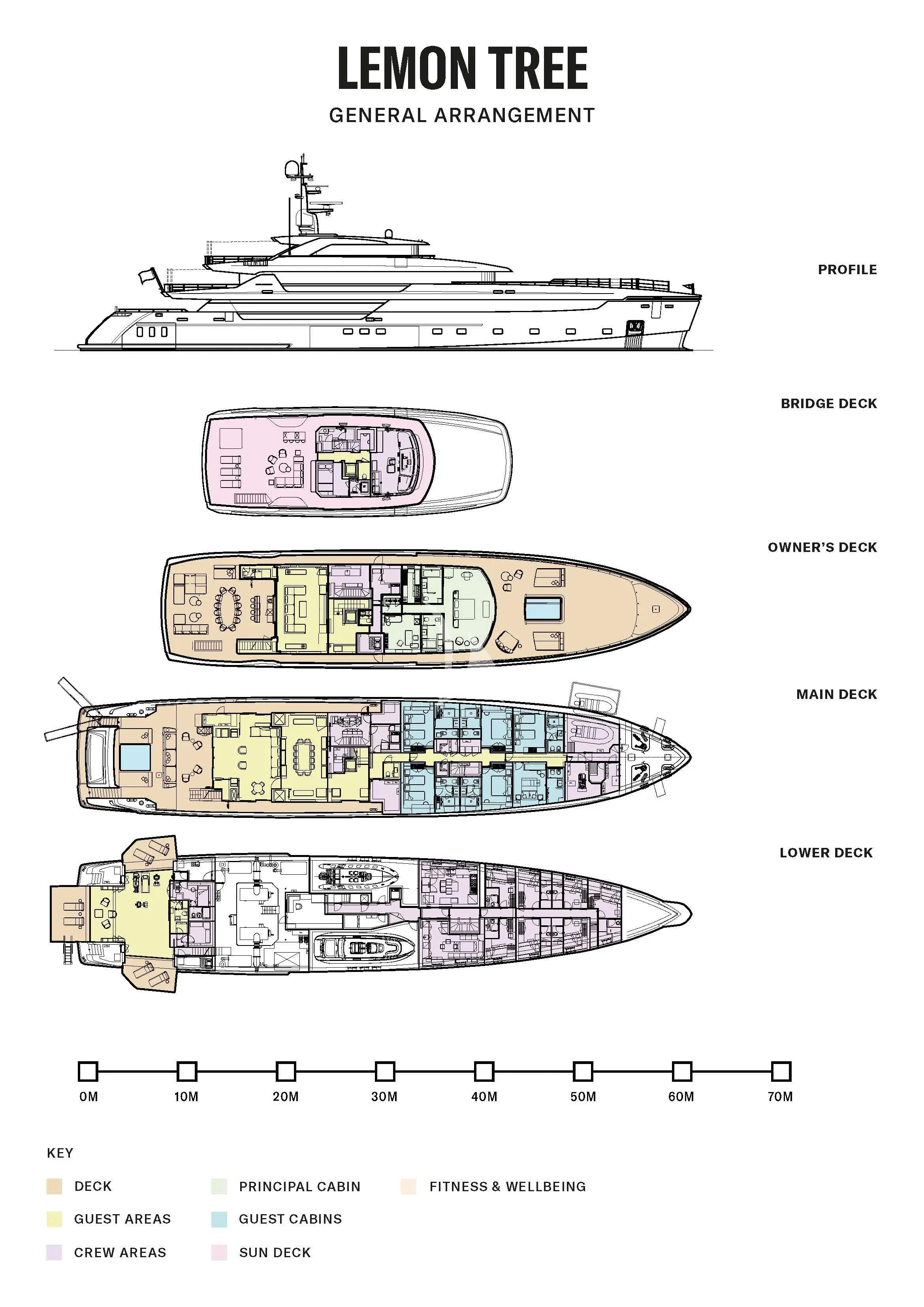diagram aboard LEMON TREE Yacht for Charter