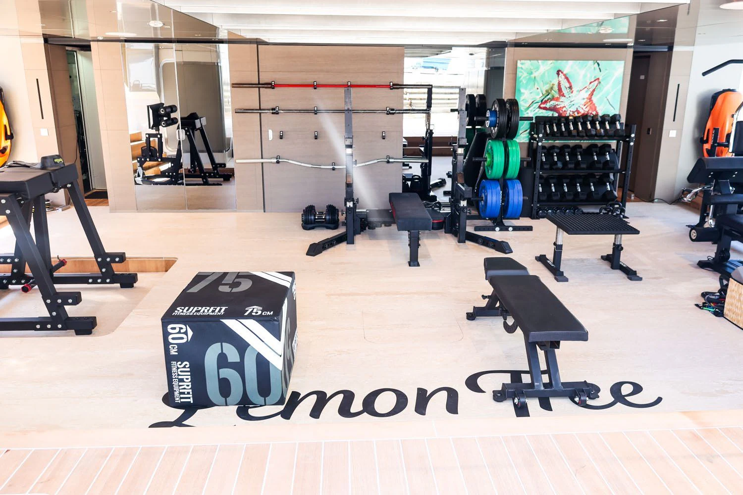 a gym with equipment aboard LEMON TREE Yacht for Charter