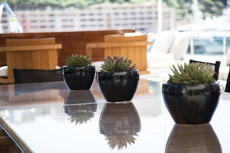 a couple of potted plants on a table aboard LADY BRAVE Yacht for Sale
