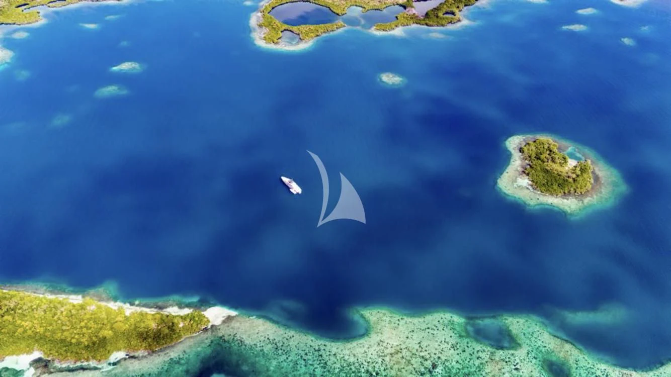fish swimming in water aboard TOSUN Yacht for Sale