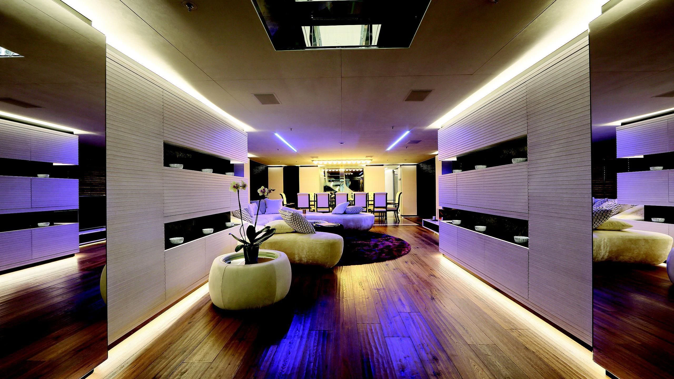 a room with a wood floor and a plant in a pot on the floor aboard OCEAN PARADISE Yacht for Sale