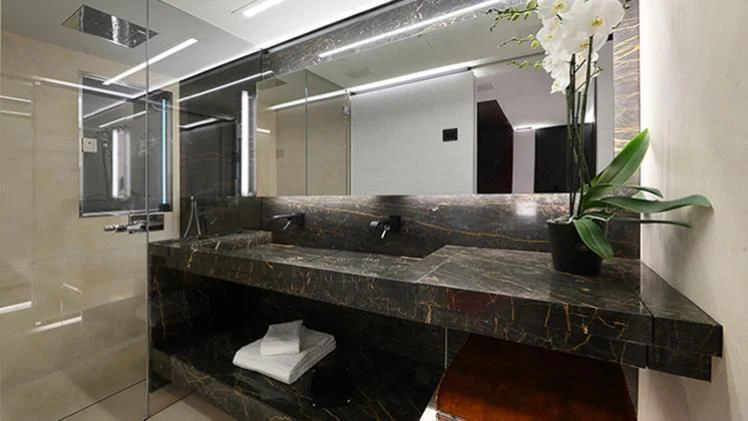 a bathroom with a sink and a plant in it aboard OCEAN PARADISE Yacht for Sale