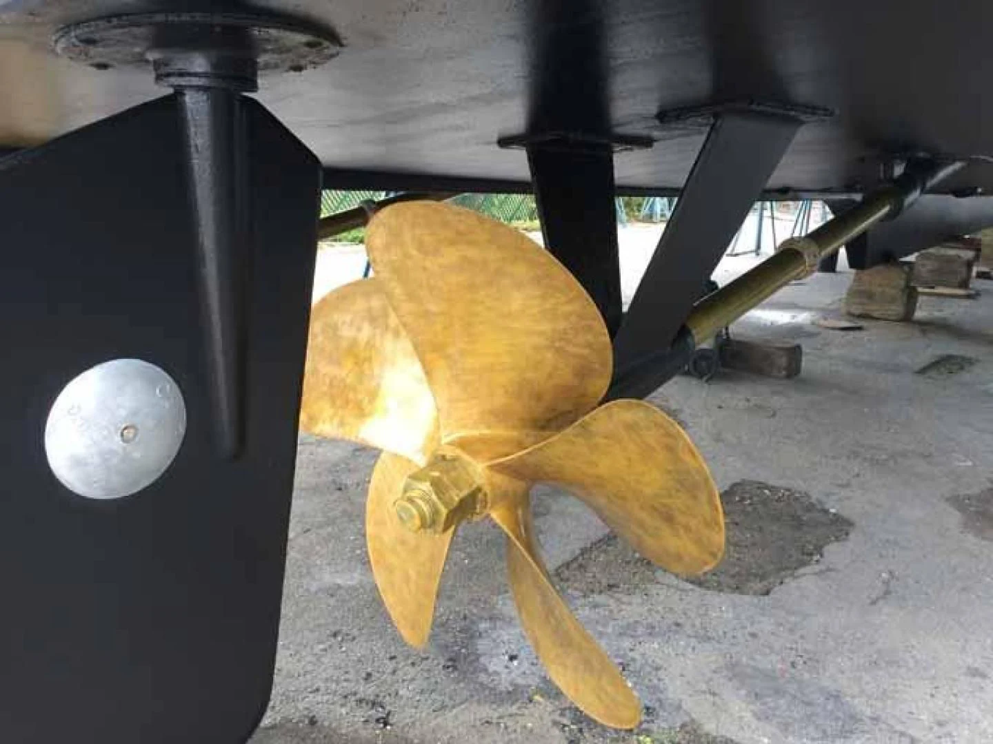 a lizard on the ground aboard DOLCE VITA Yacht for Sale